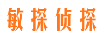 赤城市调查公司